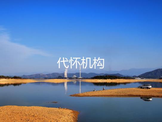 代怀机构